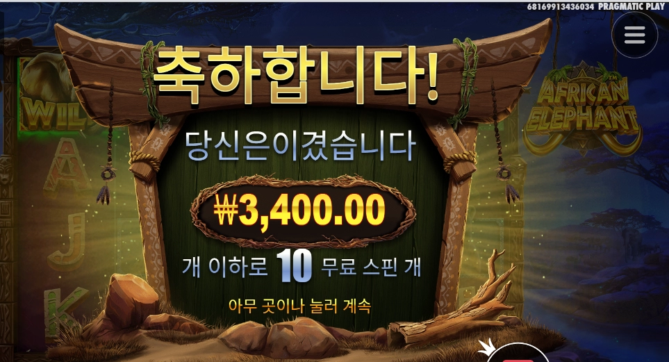 코끼리는 동물원에서만