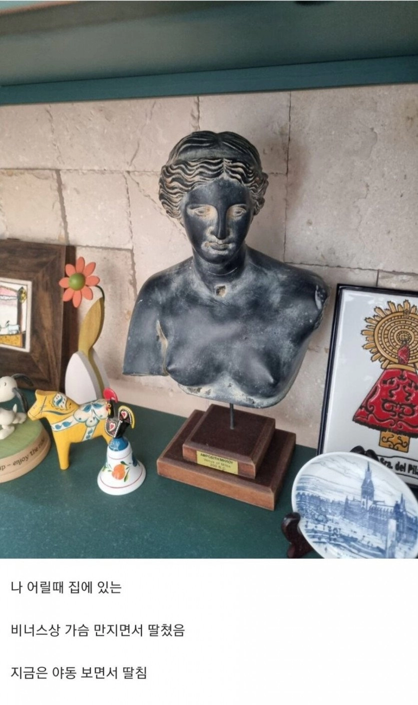 어릴 때 조각상을 보고 성욕해소를 한 사람