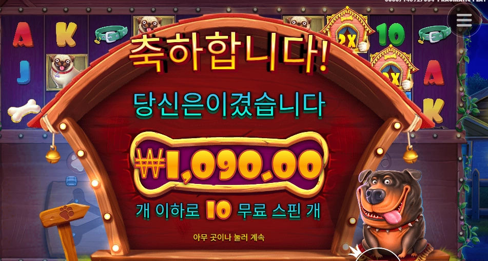 유기견 보호소 연락해