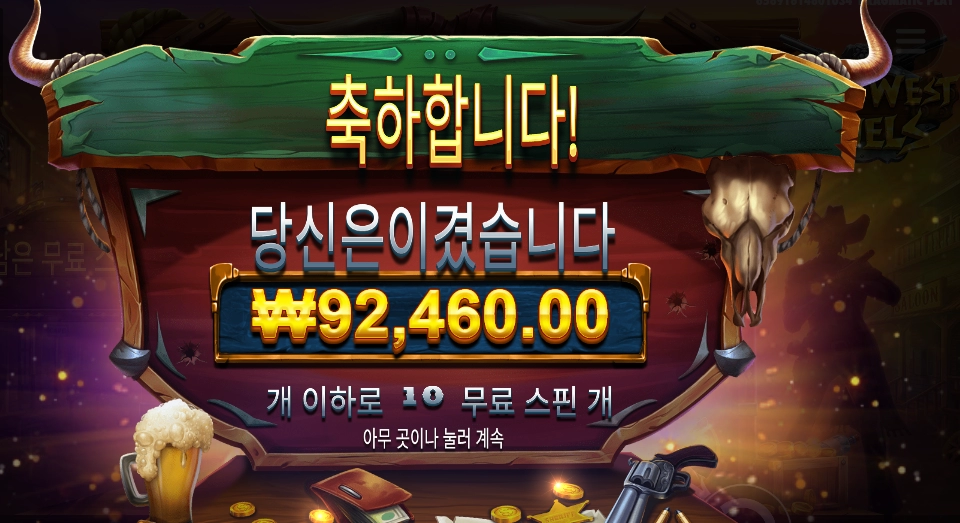 와일드 확장 구매 후기