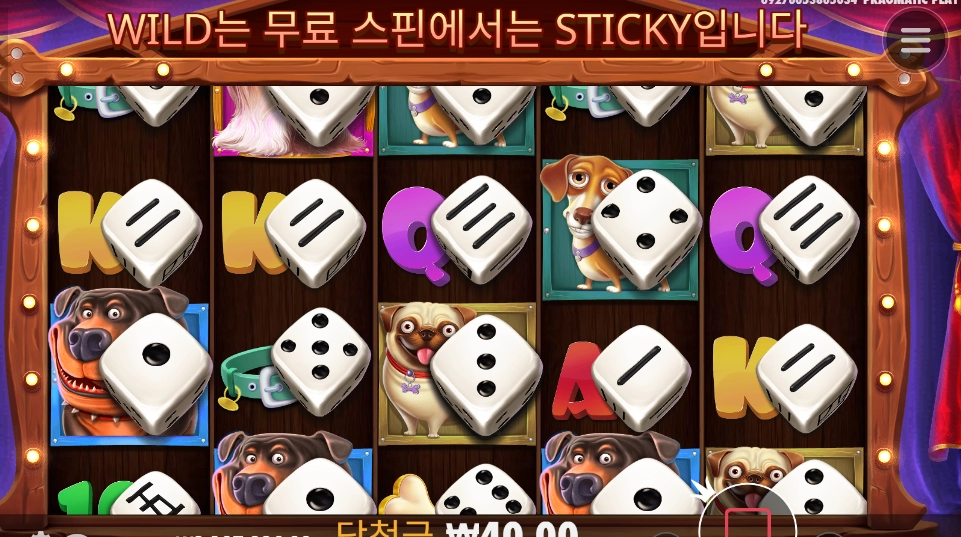 도 도그 다이스 바닥