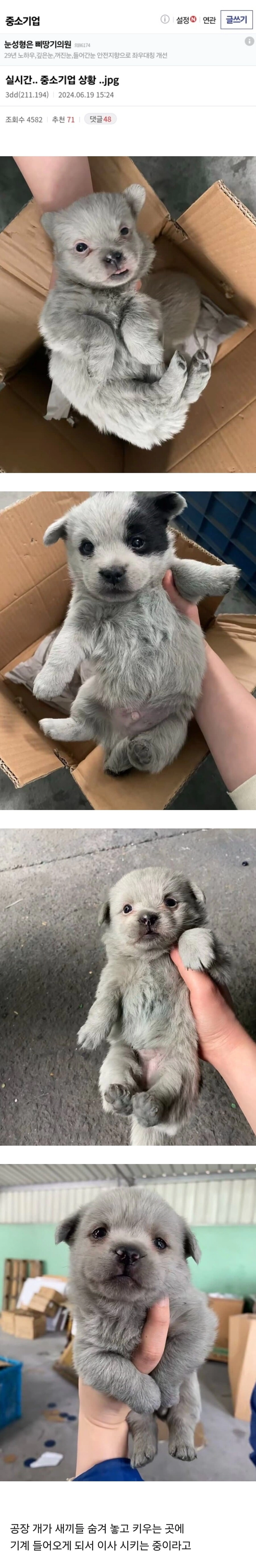 중소기업갤에 올라온 중소기업 상황