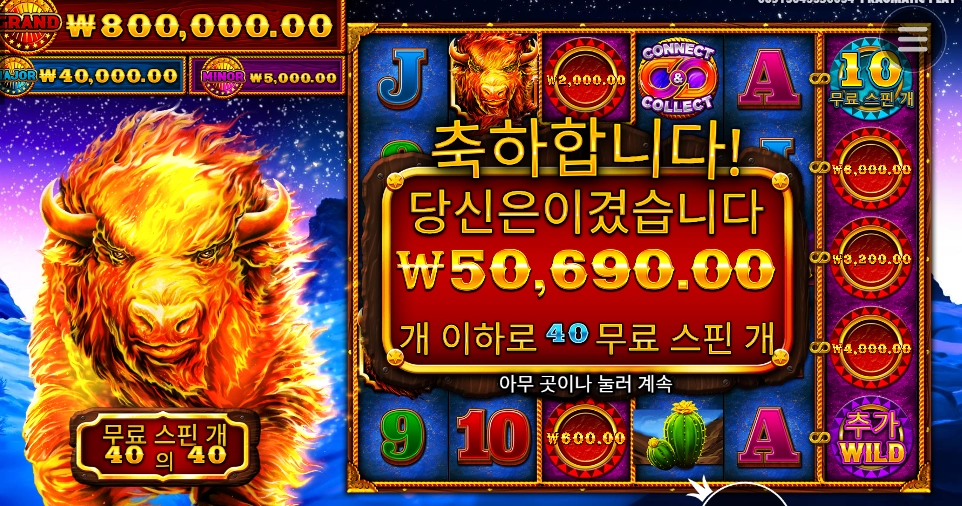 불타는 황소 감사합니다