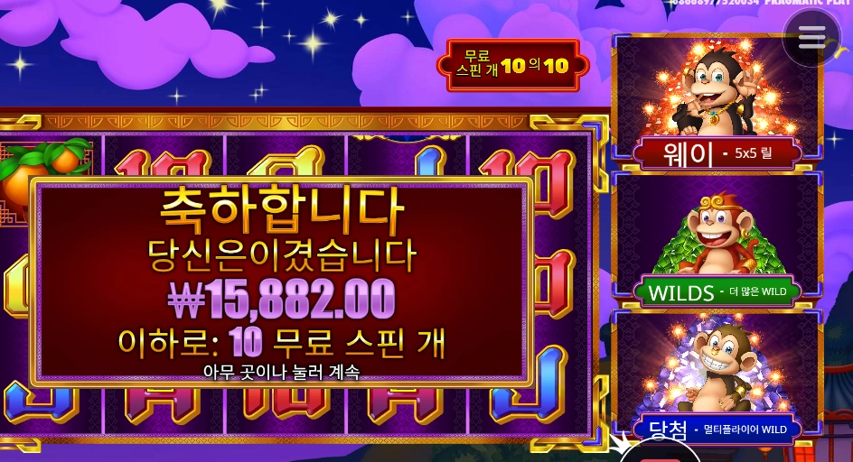 원숭이 요놈들 보게