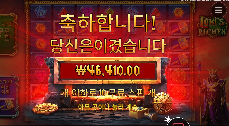 우리 로키가 달라졌어요