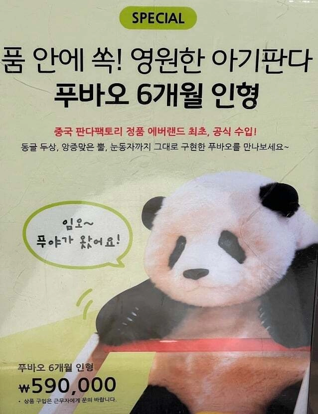 어메이징 푸바오 굿즈 가격