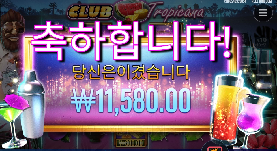 곱２면 뭐하냐 트로피카나