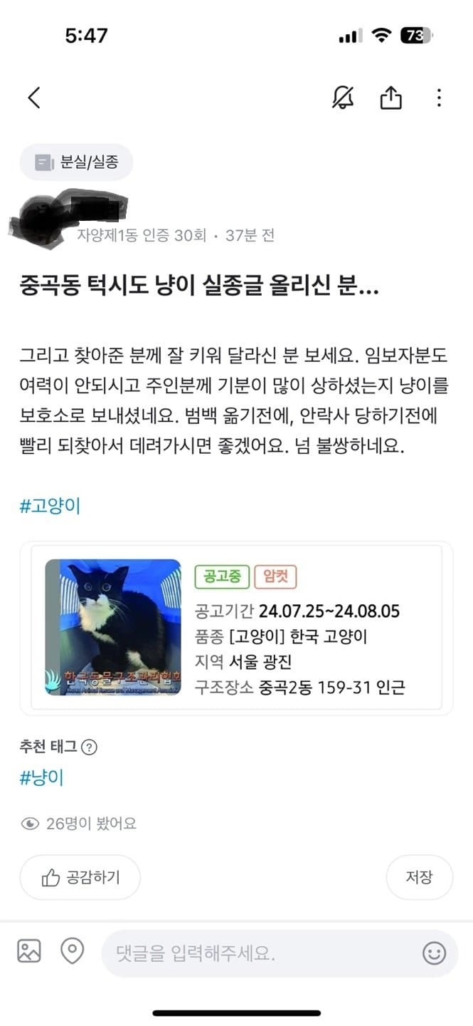 사탄도 울고갈 고양이 유기방법