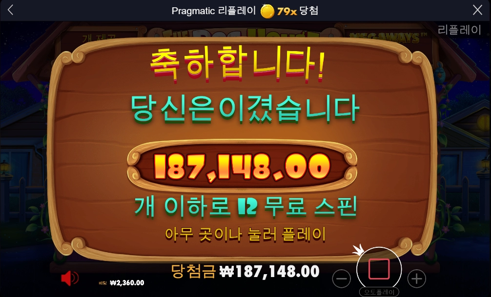 도그하우스 후기 2