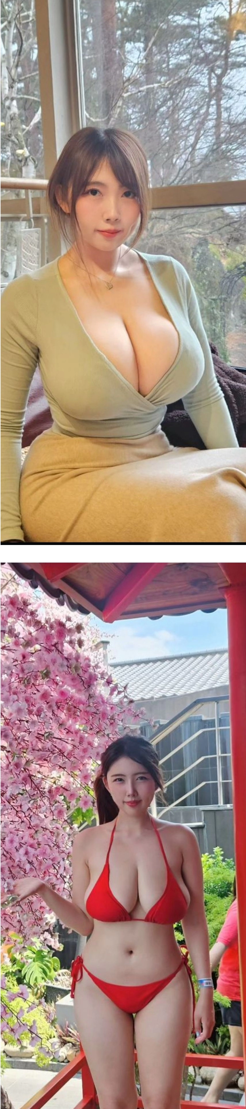 갑질 했어도 나락을 안 간 이유