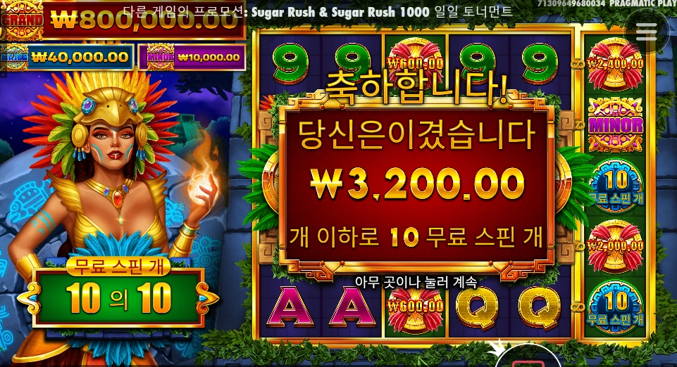 버드언니 뭐하심