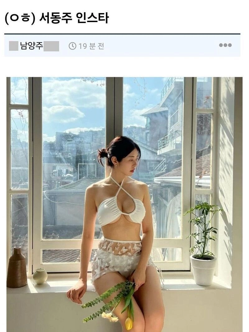 서동주 비키니 사진 댓글 수준