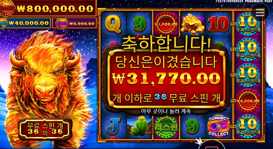 평타는 해주네 불소