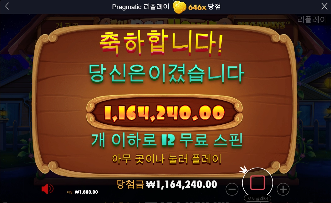 도그하우스 후기