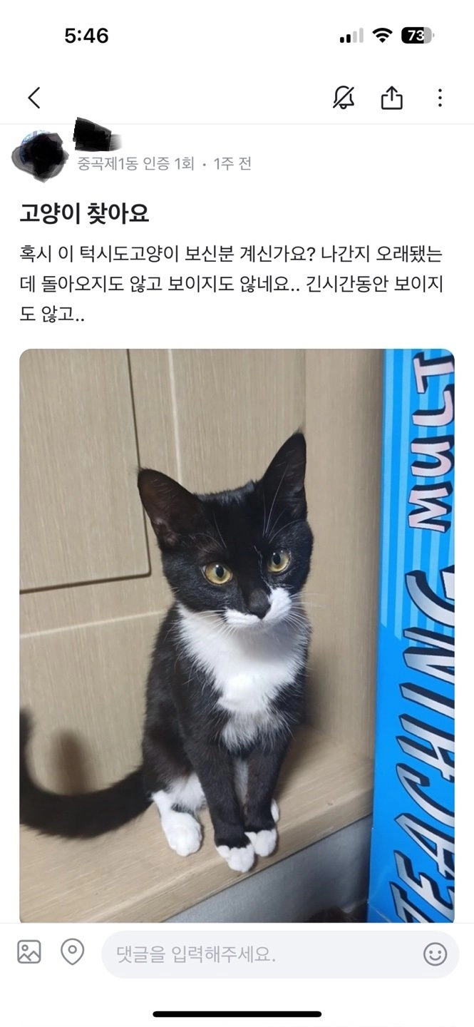 사탄도 울고갈 고양이 유기방법