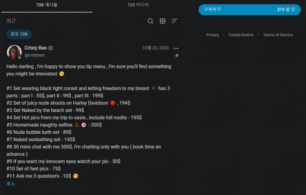 서울에 온 팔로워 143만 모델 온리팬스 금액을 알아보자