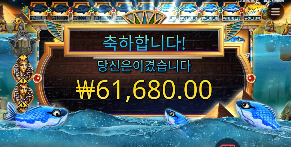 생선 눈이 맑으네