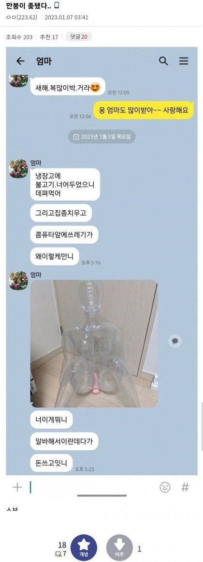 어느 디시인 자취방 대참사