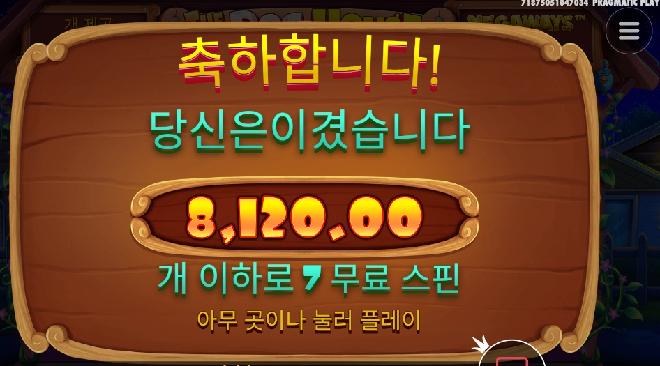 개집 스티키 후기