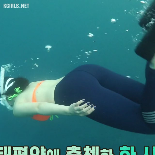 전성기때 어지간한 거 다 했는데 워터밤만 안나온 분