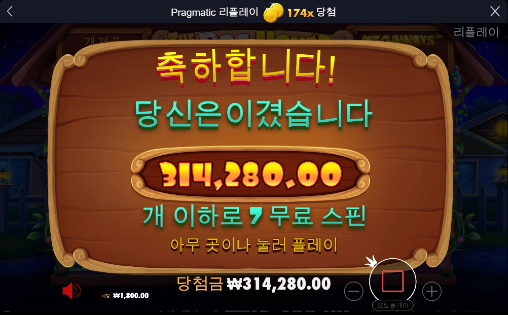 도그하우스 후기