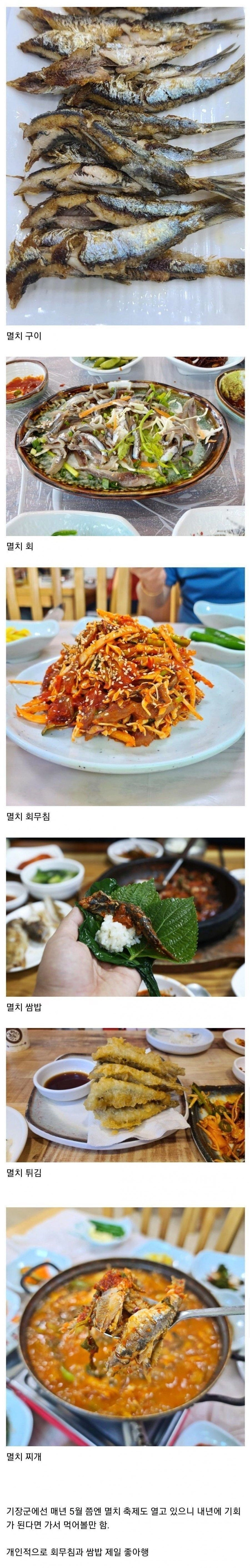 경상남도의 멸치 음식들