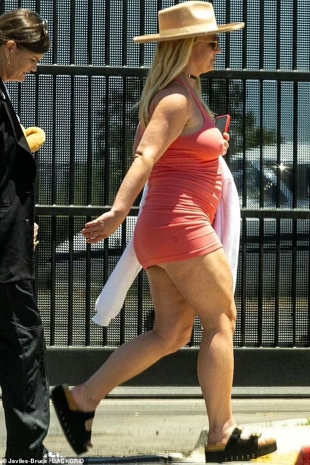 충격적인 브리트니 스피어스 근황