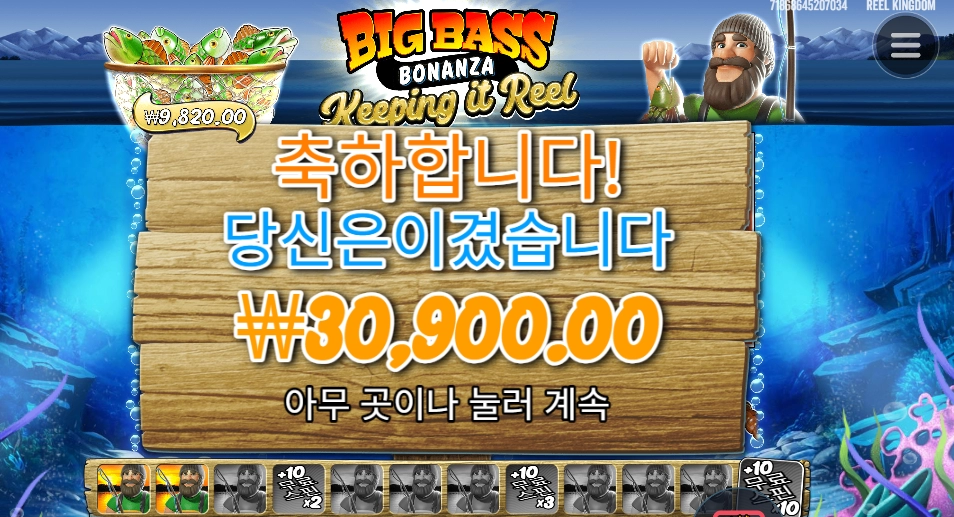 빅 배스 보난자 3콩