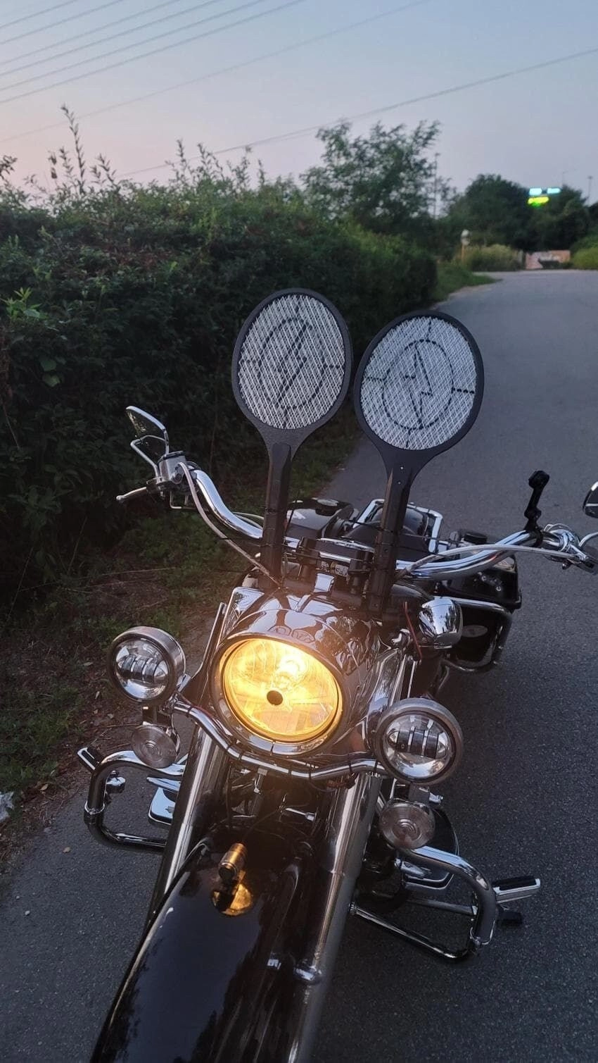 벌레로 개고생중인 바이크 갤러리 근황