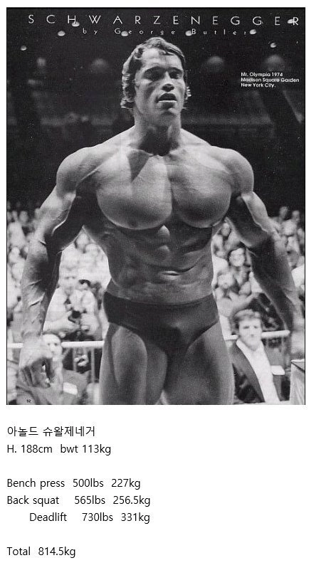 아놀드 슈왈제네거 전성기 3대 중량
