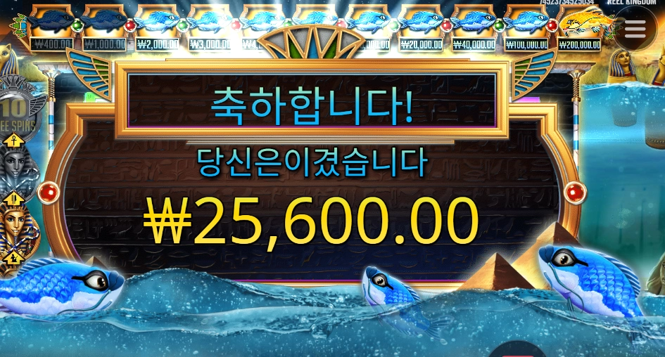 물고기들 고생했다