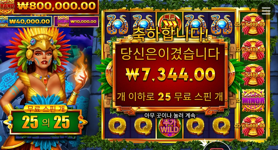 스핀 5추가 파이어버드