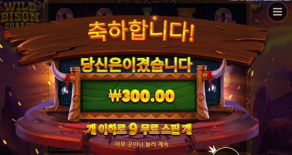 바이슨 차지 300원