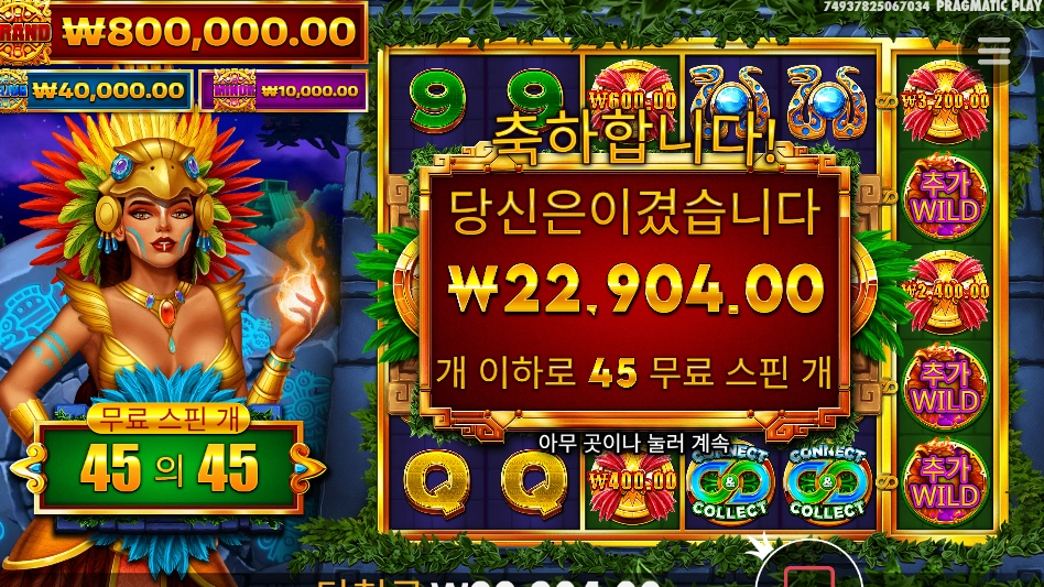 파이어버드 추가 15스핀