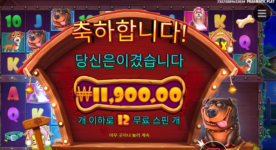 개집 ３번째 단계인데