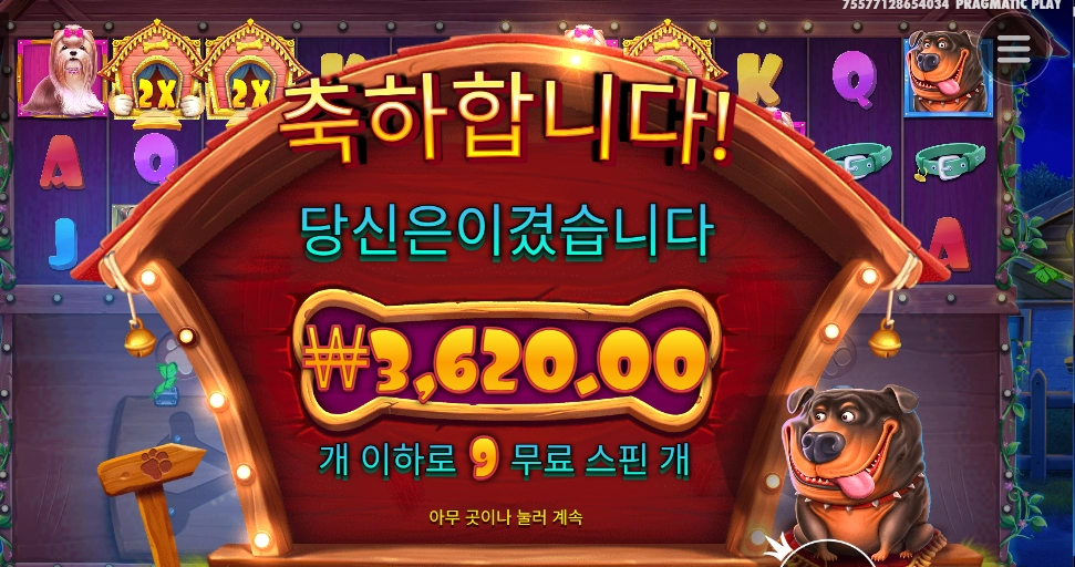 더도그멀티홀드 9스핀