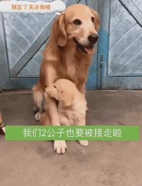 ‘엄마’가 최고인 이유