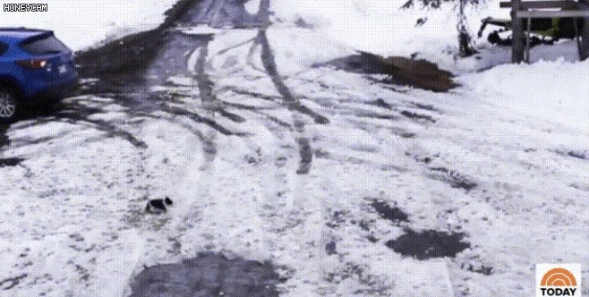 엄마’가 최고인 이유