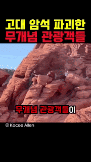 무개념 관광객의 최후