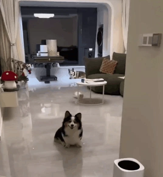 킬포인트 3가지 찾기