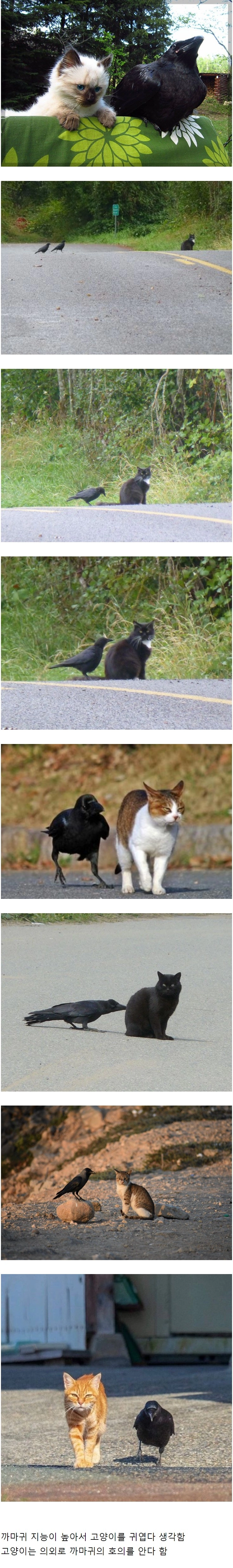 앙숙일거 같은데 의외로 친한 사이