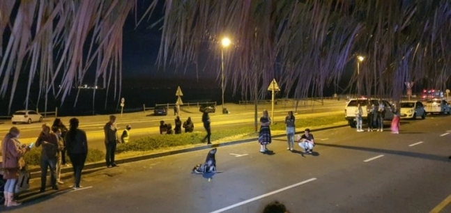 배고파서 레스토랑에 찾아온 물개