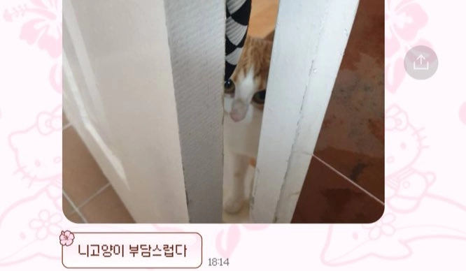 나 회식 중에 엄마가 보낸 카톡