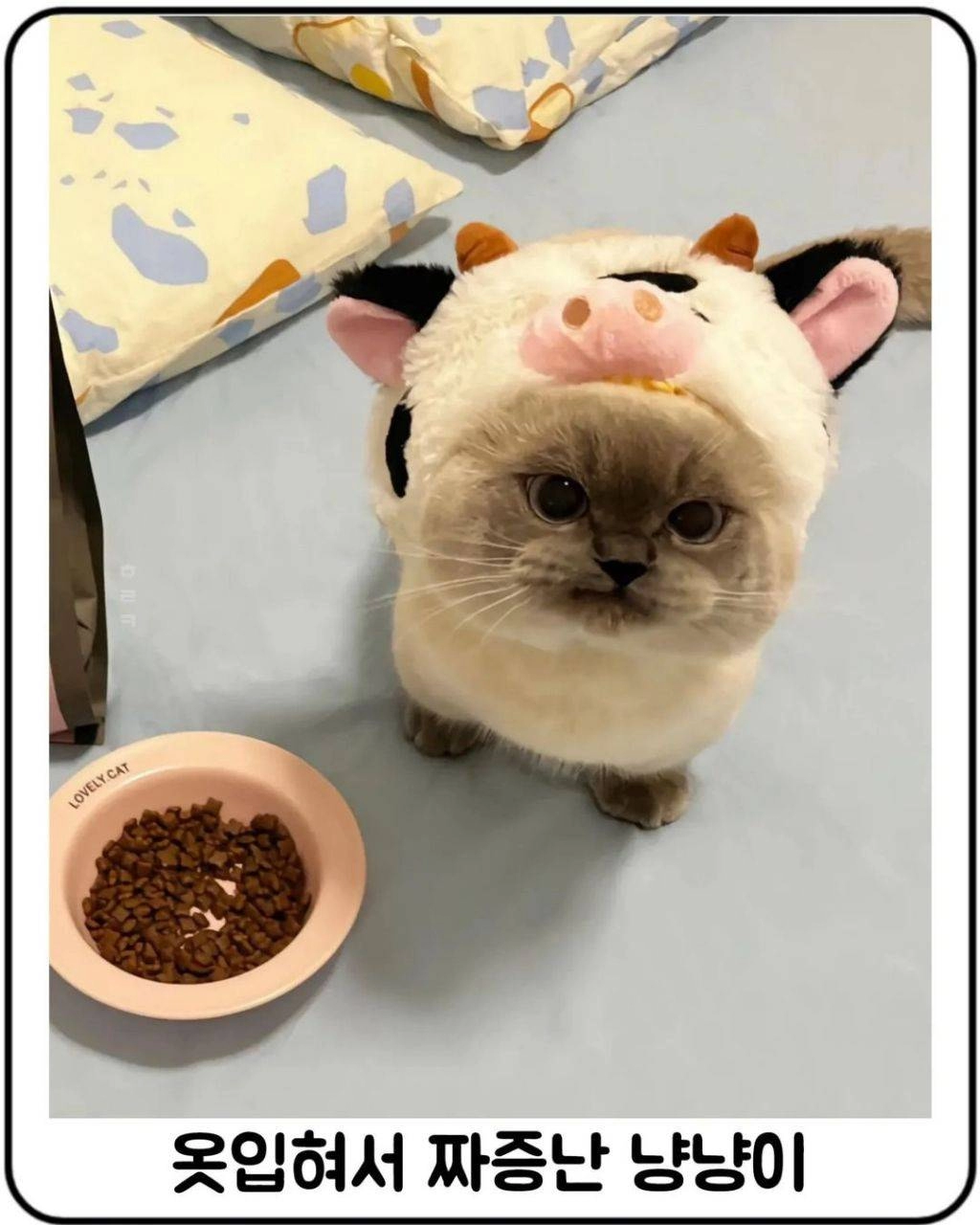 내 생각 뭐가 잘 못된것인지 알려주실분.-사형반대-