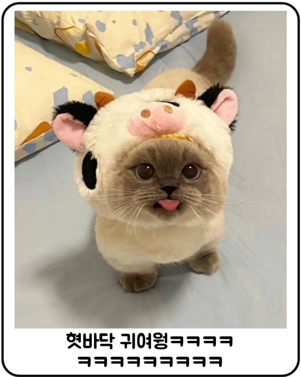 내 생각 뭐가 잘 못된것인지 알려주실분.-사형반대-