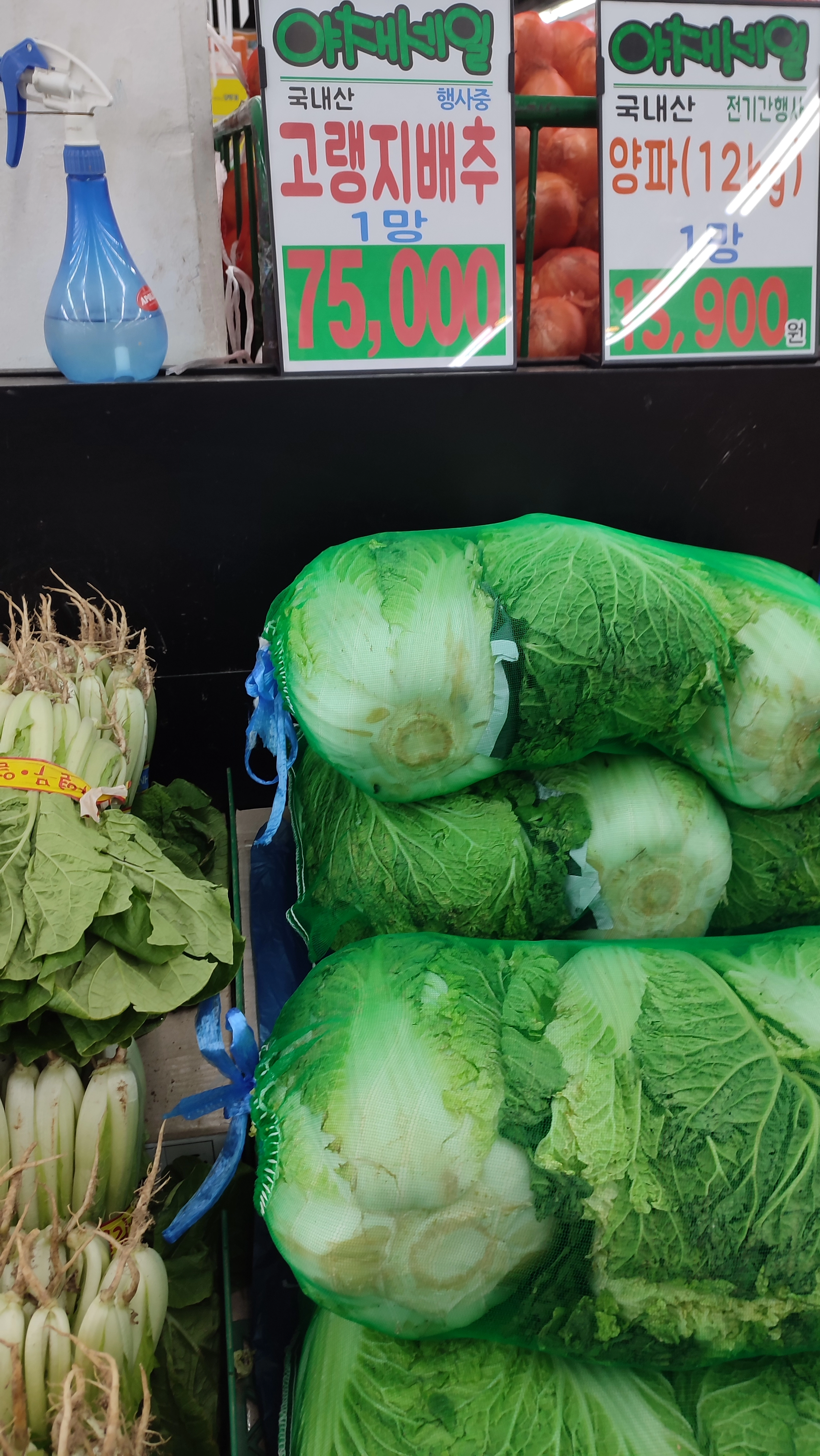 배추 3포기 1망 가격