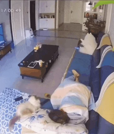 발 시려하자 도와주는 사모펀드