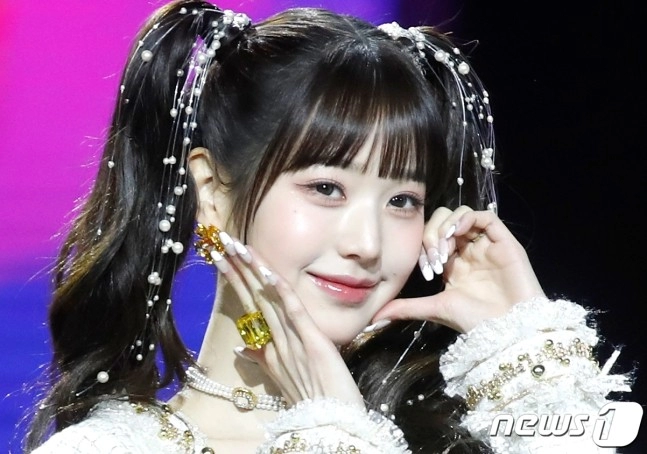 장원영 비방해 2억 번 '탈덕수용소'…'명예훼손 고의 없다'