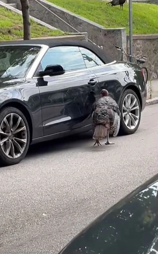 훼손된 차량 주인에 남겨진 황당한 쪽지