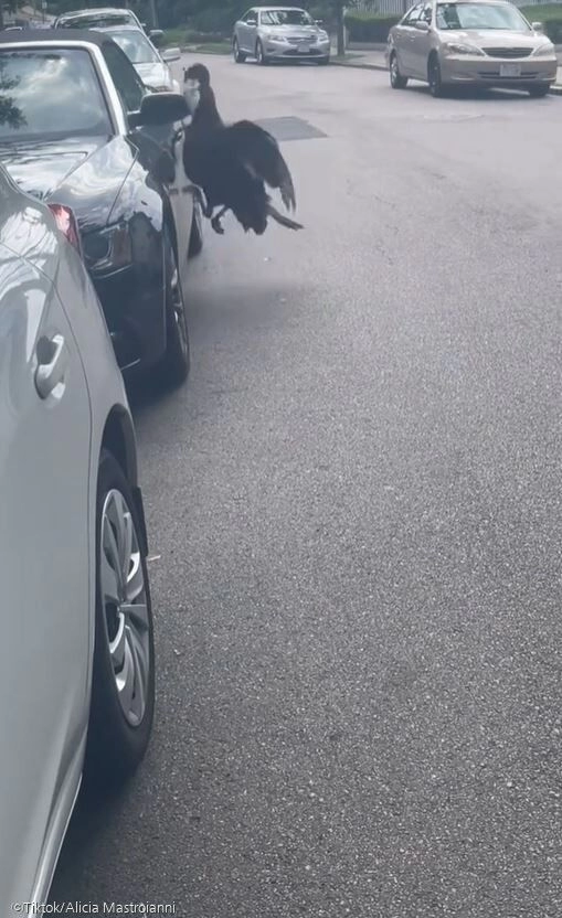 훼손된 차량 주인에 남겨진 황당한 쪽지